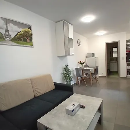 Novy 30 Apartment *