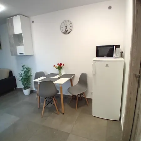 Novy 30 Apartment Liberec