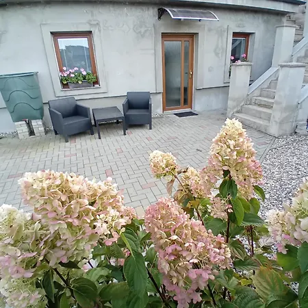 Apartmán Nový 30 *