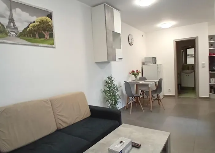 Novy 30 Apartment *